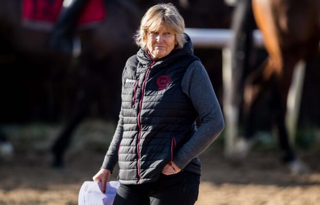 1.jpg 哈灵顿将苏帕松第派到切尔滕纳姆 中网体坛,oubili.com