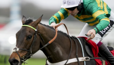 切尔滕纳姆（Cheltenham）第1天：预览和提示 中网体坛,oubili.com
