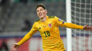 比利时咬伤击败威尔士，德布鲁因出演 中网体坛,oubili.com