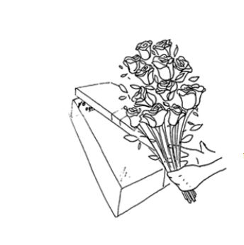 roseonly永生花养护