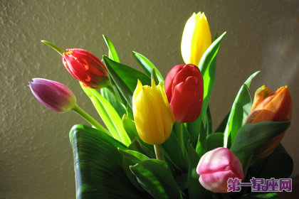 四月的花语是什么？郁金香