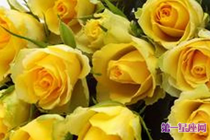 各种花的花语:代表忧伤的花和花语