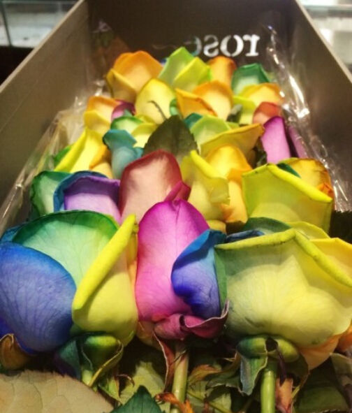 哪里有卖彩虹玫瑰