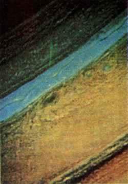 旅行者1号发现木星是带有光环的行星(歷史上的今天.中国)